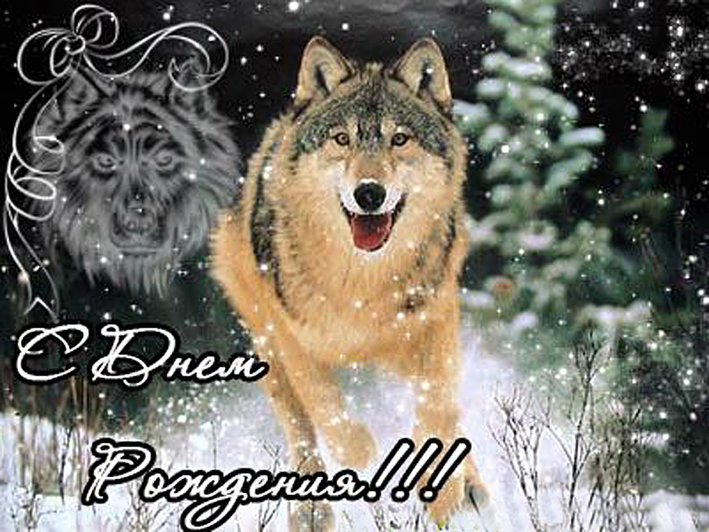Новогоднее Поздравление От Волка