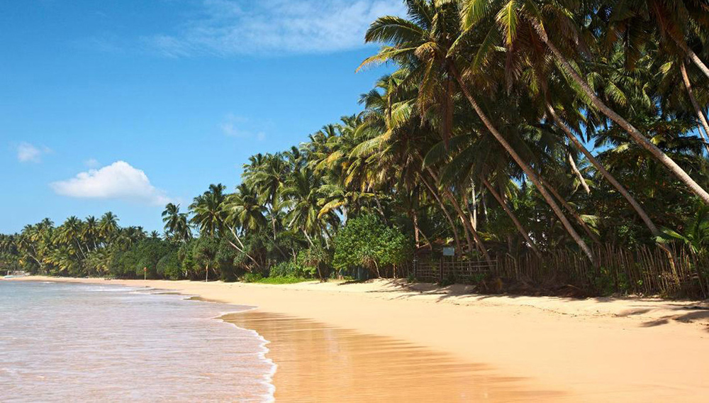 Идиллический_тропический_рай,_Шри_Ланка.jpg