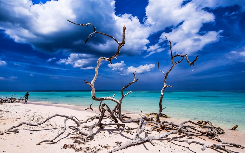 334480-landscape-nature-beach-sand-tropical-sea-sky-turquoise-Caribbean-water-clouds-dead_trees-Cuba.jpg