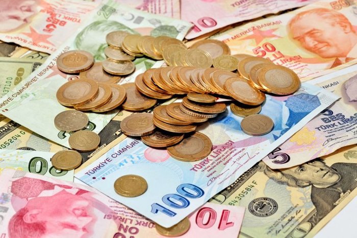 Кризис в Турции: как скажется девальвация лиры на Украине