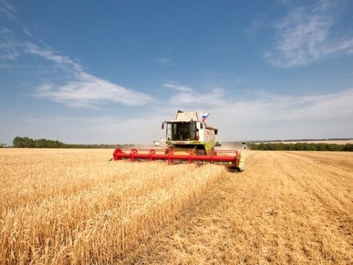 Аграрный экспорт: чем Украина торгует с миром