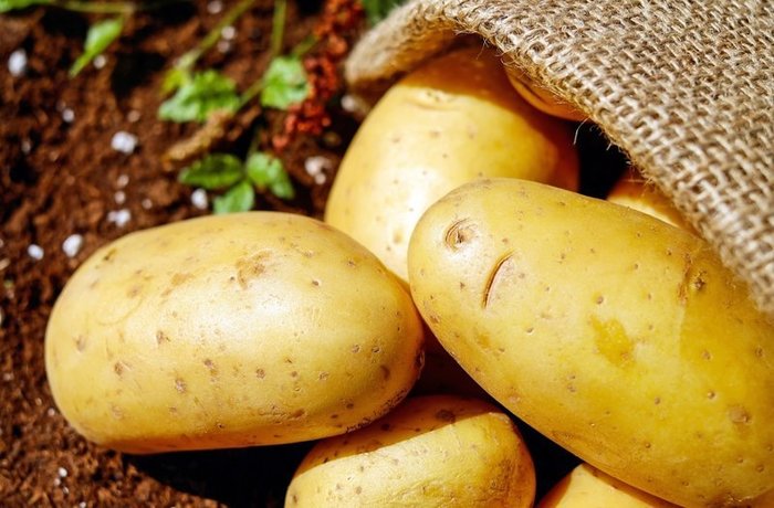Украине грозит дефицит яблок и картошки