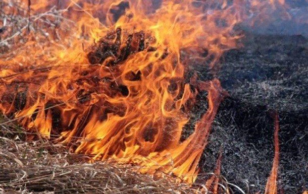 В Луганской области начался новый пожар