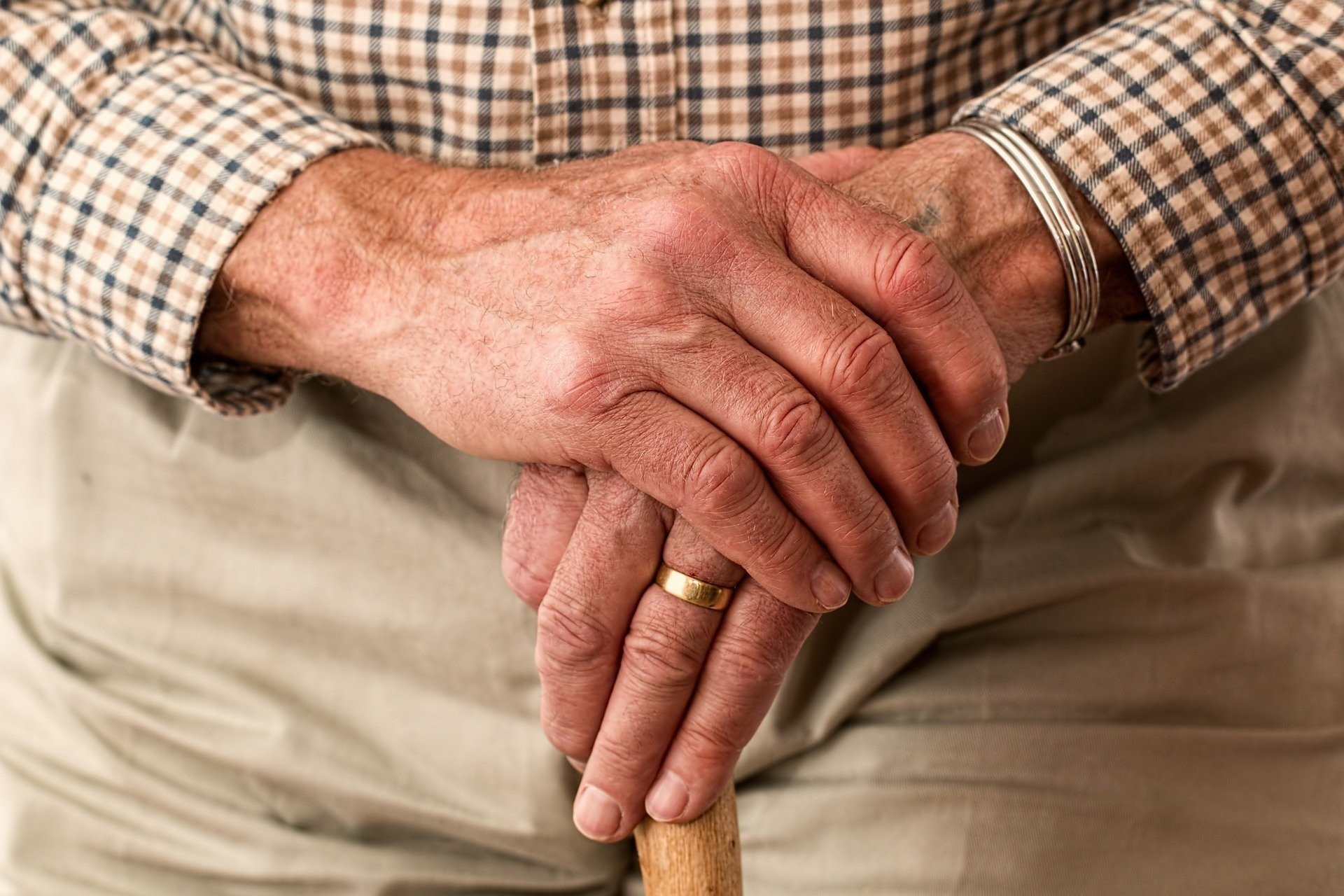 Розкриті механізми старіння і довголіття