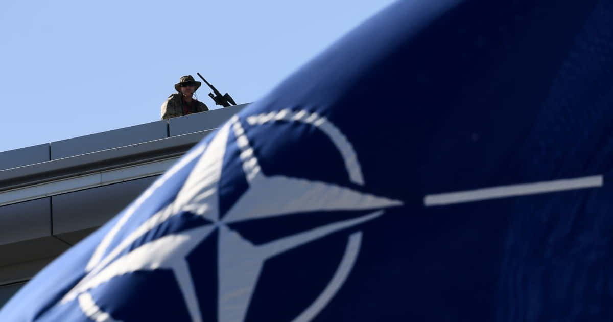 Ухвалення законів з пакету НАТО: наслідки для України