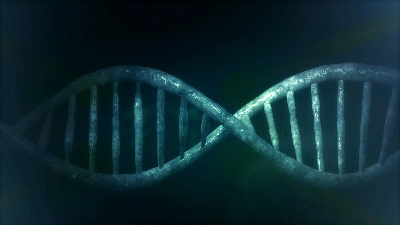 В мусорной ДНК обнаружили ключ к секрету старения