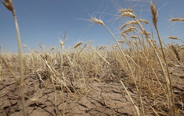 Гидрометцентр показал масштабы засухи в Украине
