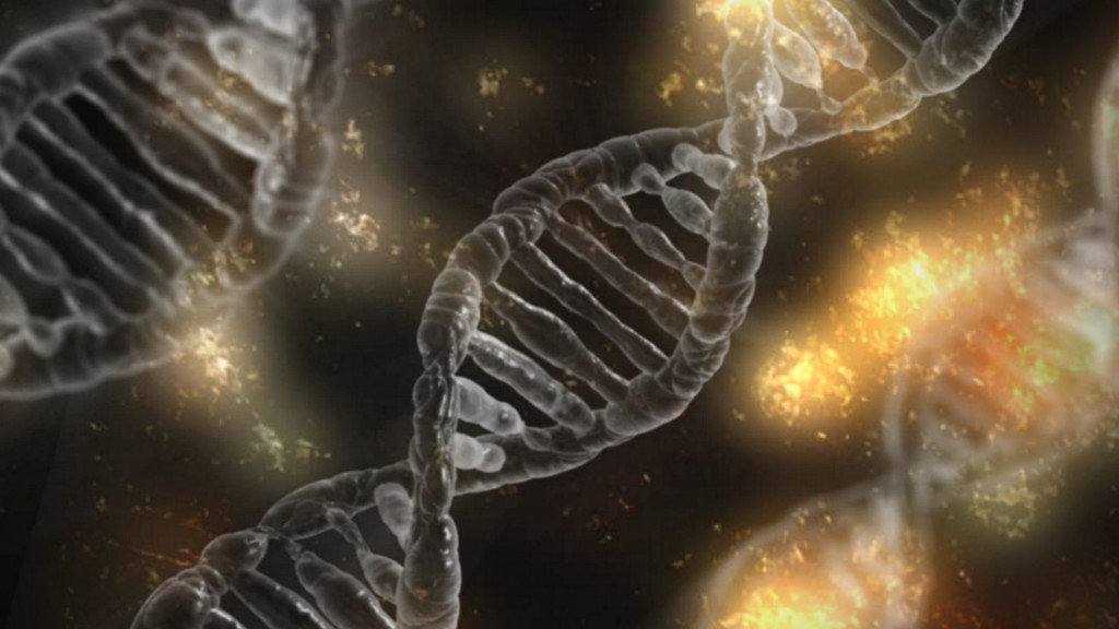 В геноме человека найдена чужая ДНК