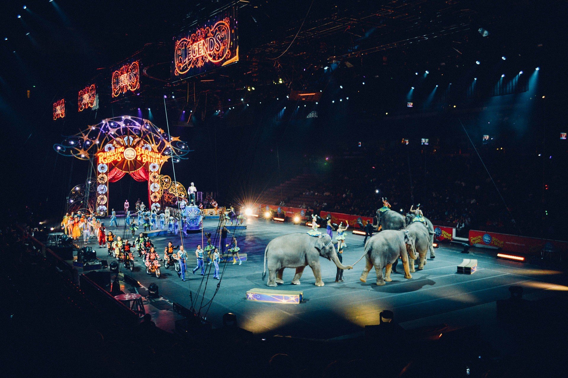 Чехия запрещает цирк с животными