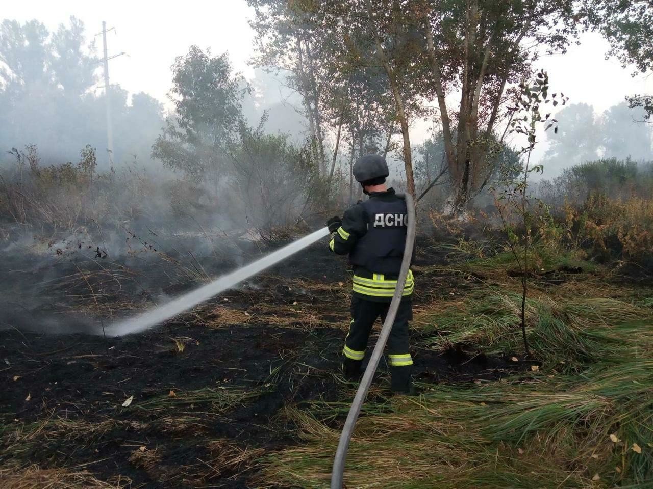 На Луганщині спалахнула лісова пожежа: горить 80 га