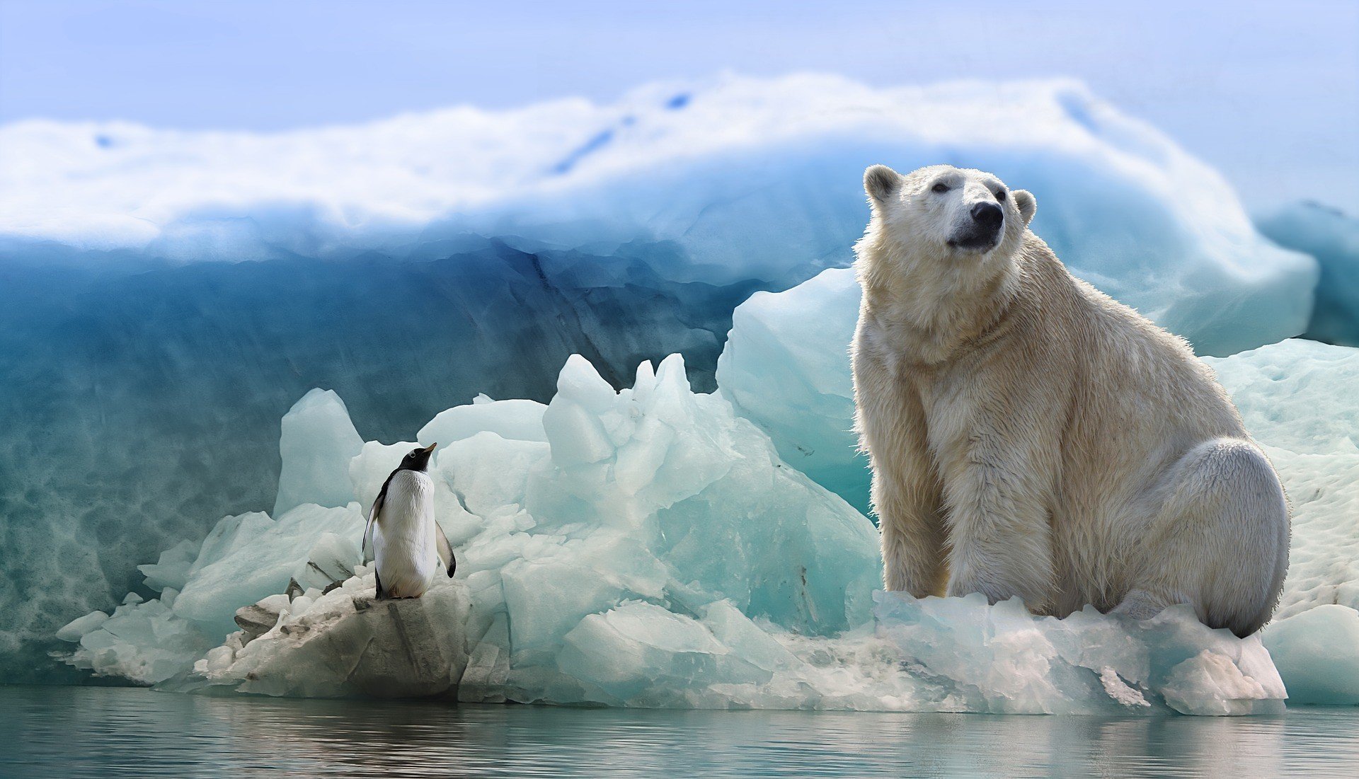 В Северо-Ледовитом океане рекордно растаял лед
