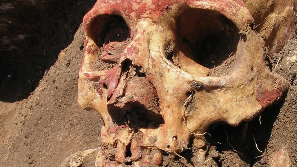 От каких инфекций умирали древние люди