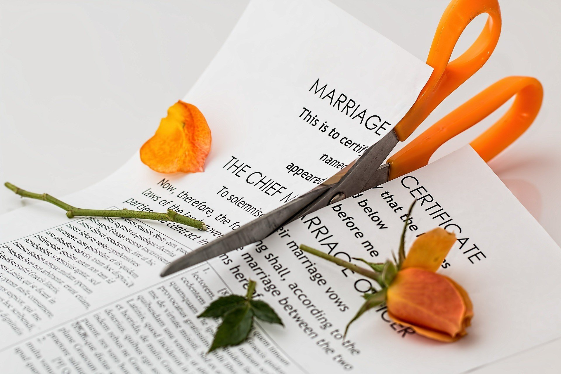 Раздел бизнеса после развода: риски