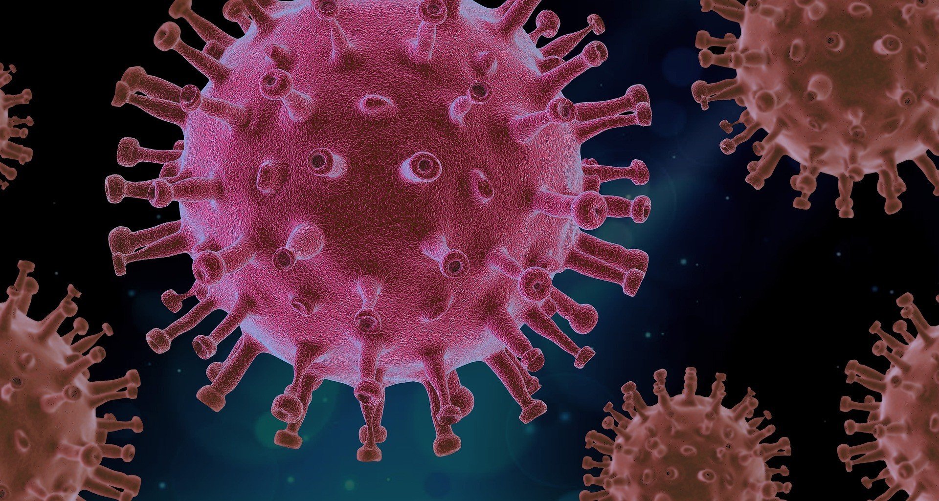 В НАН заявили, что коронавирус может исчезнуть сам