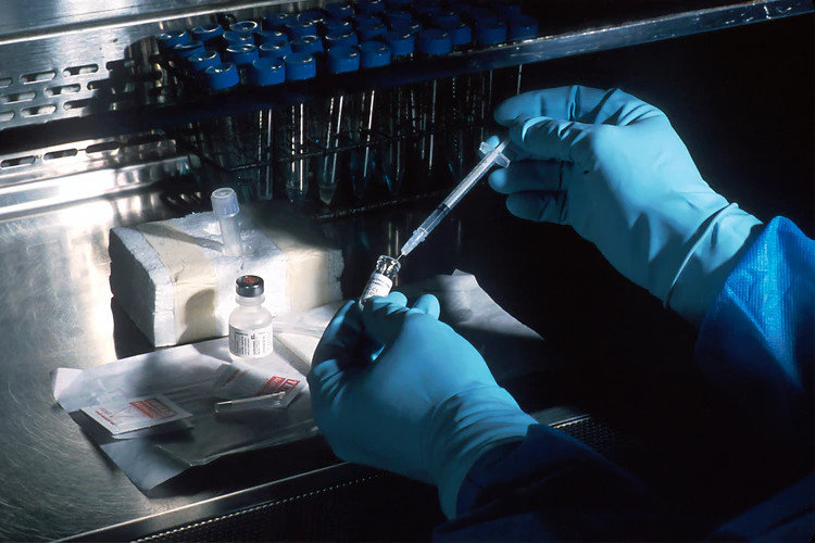 Вакцинація проти туберкульозу може захистити від COVID-19