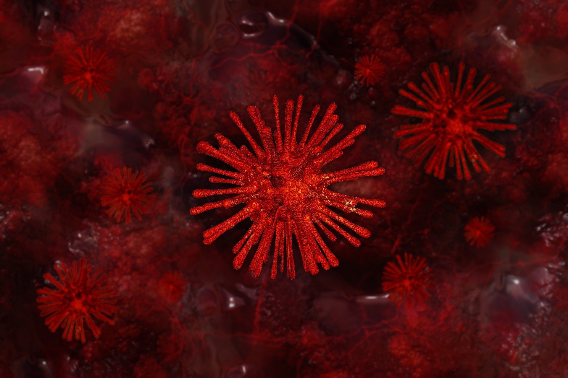 Названа главная опасность нового штамма коронавируса