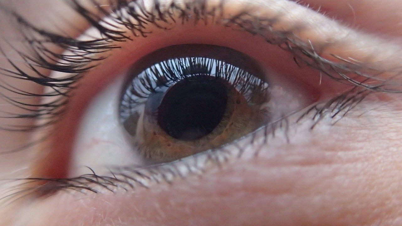 Ученые назвали эффективный подход к диагностике слепоты