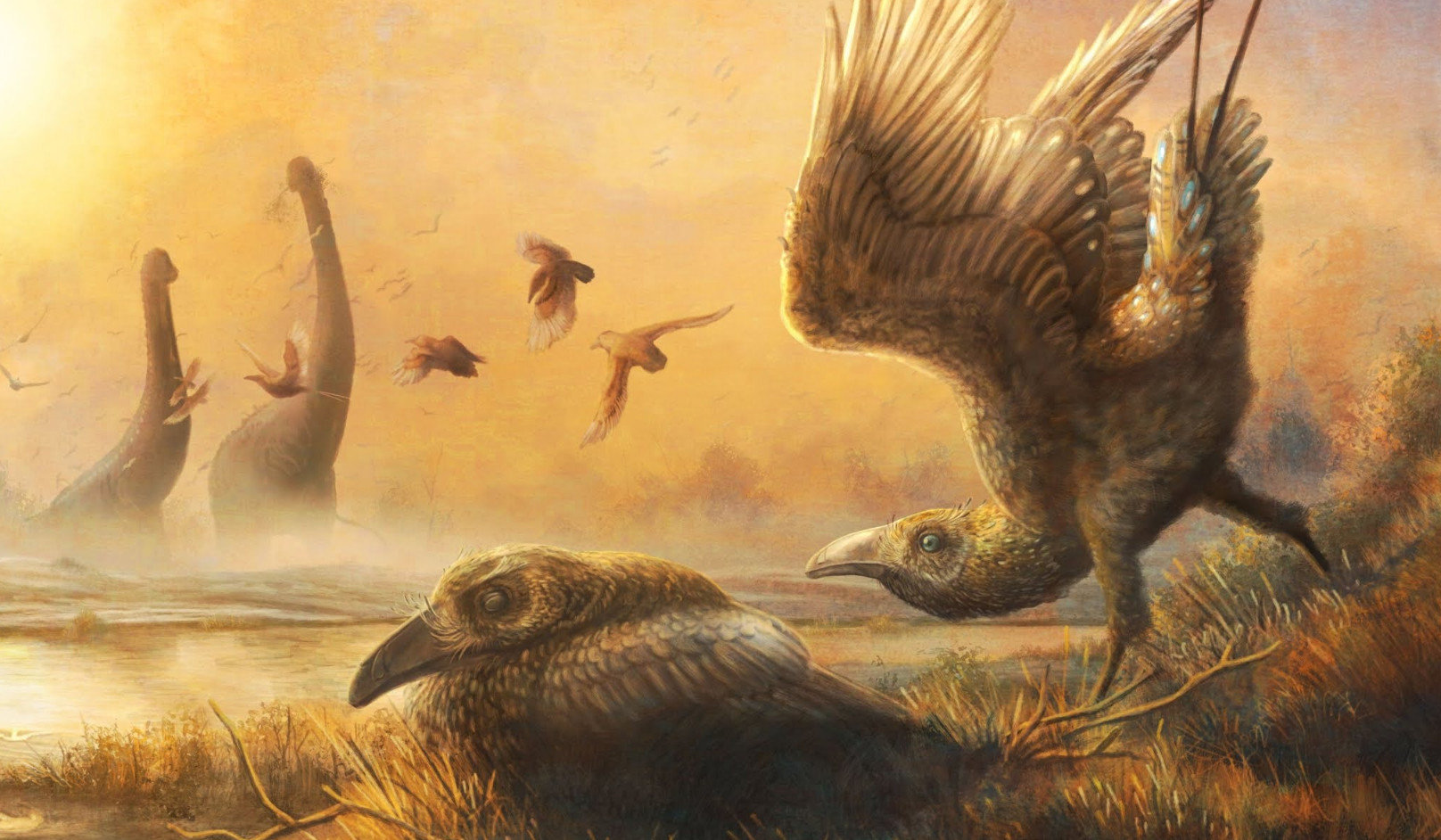 На Мадагаскаре нашли череп птицы времен динозавров