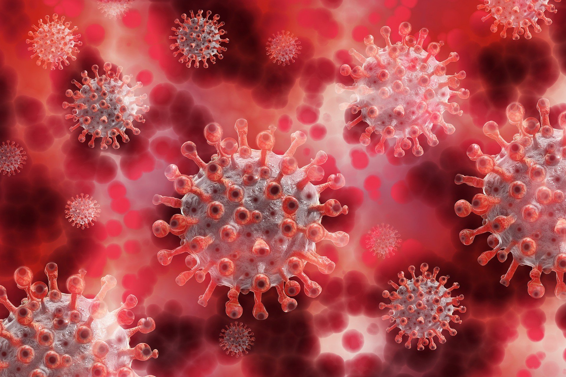 В Дании выявлен мутирующий коронавирус