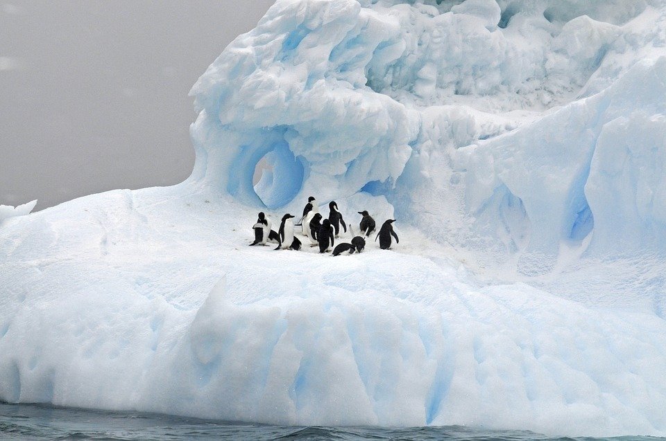 Гигантский айсберг угрожает колонии пингвинов