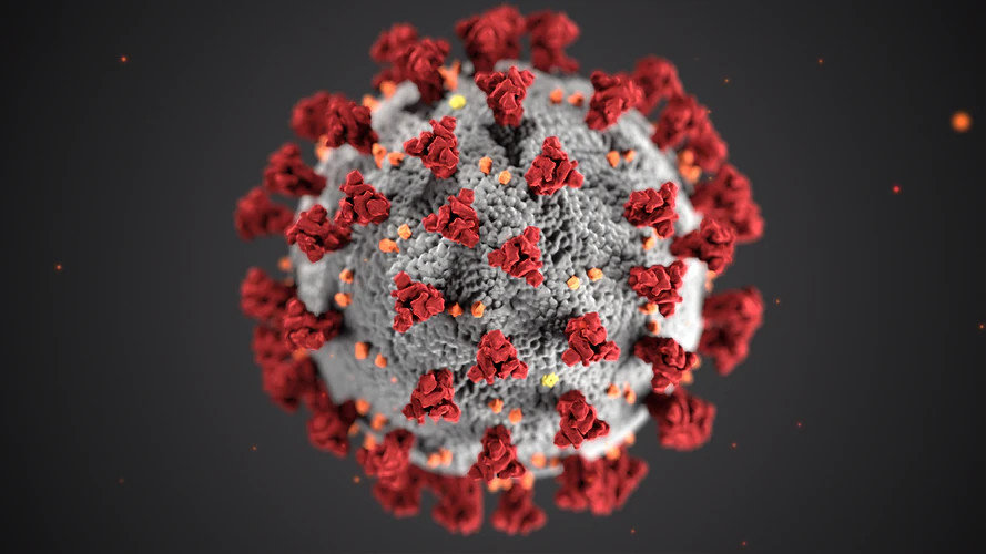 Мутация коронавируса может избежать иммунного ответа