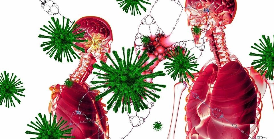 Патологоанатом: как меняются органы умерших от коронавируса