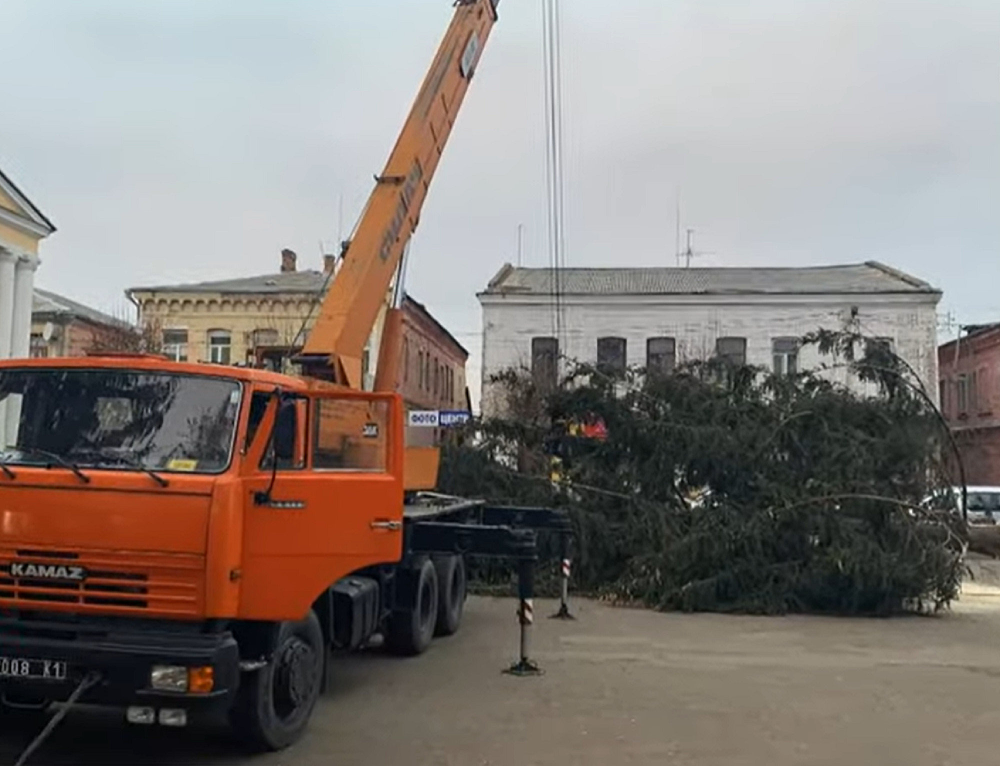 В Дубно главную новогоднюю елку срубили на кладбище