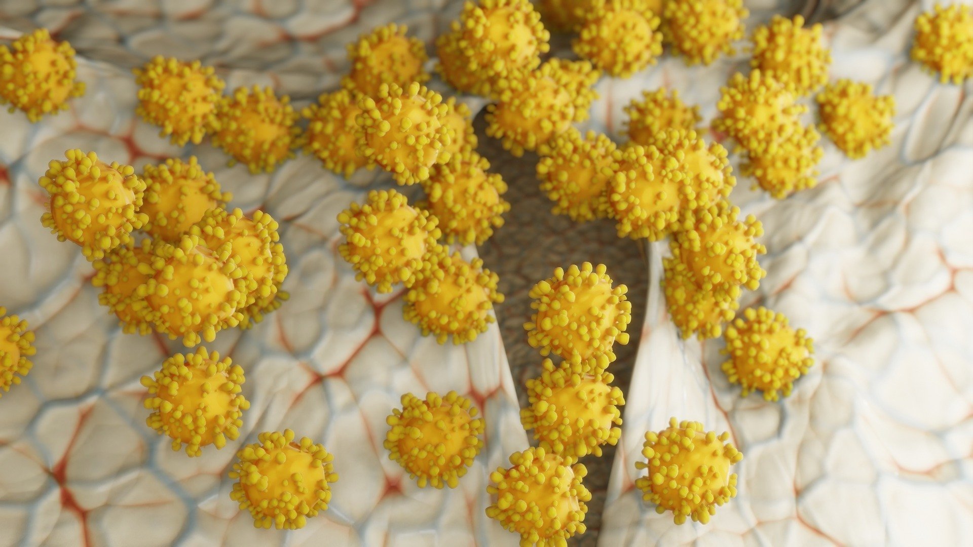 Вчені розкрили спосіб знищити коронавірус за дві хвилини