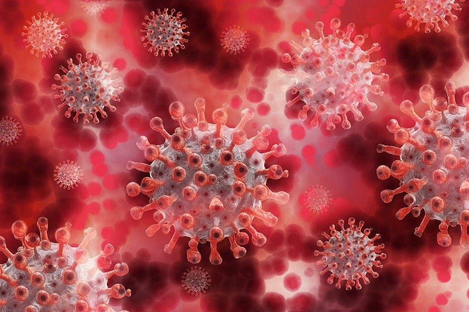 Д-димер і коронавірус: коли починати хвилюватися