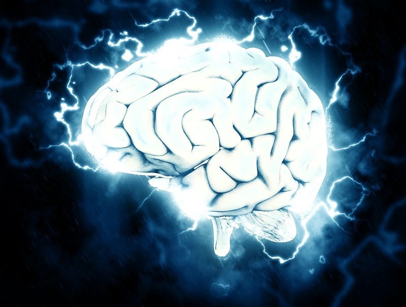 Вчені з'ясували, як зберегти працездатність мозку після травм
