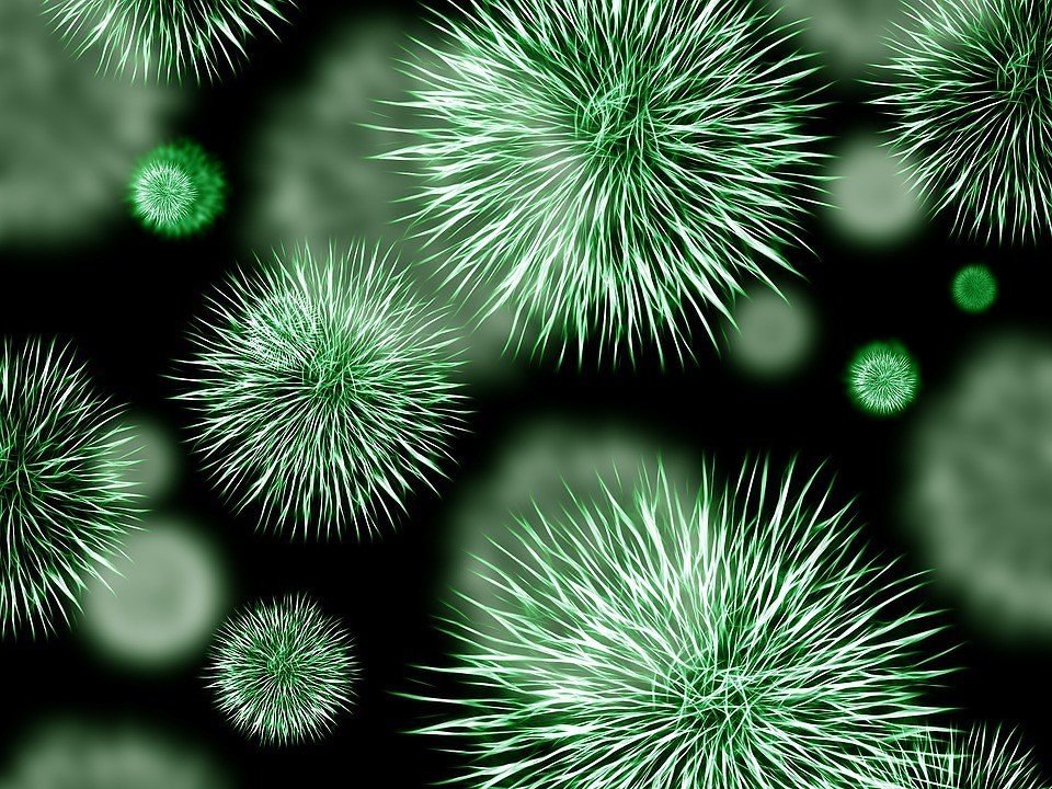 У Німеччині виявили нову мутацію коронавірусу