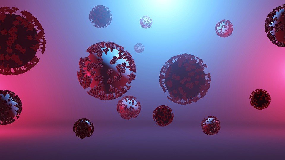 У ПАР повідомили про підвищену небезпеку мутованого коронавіруса