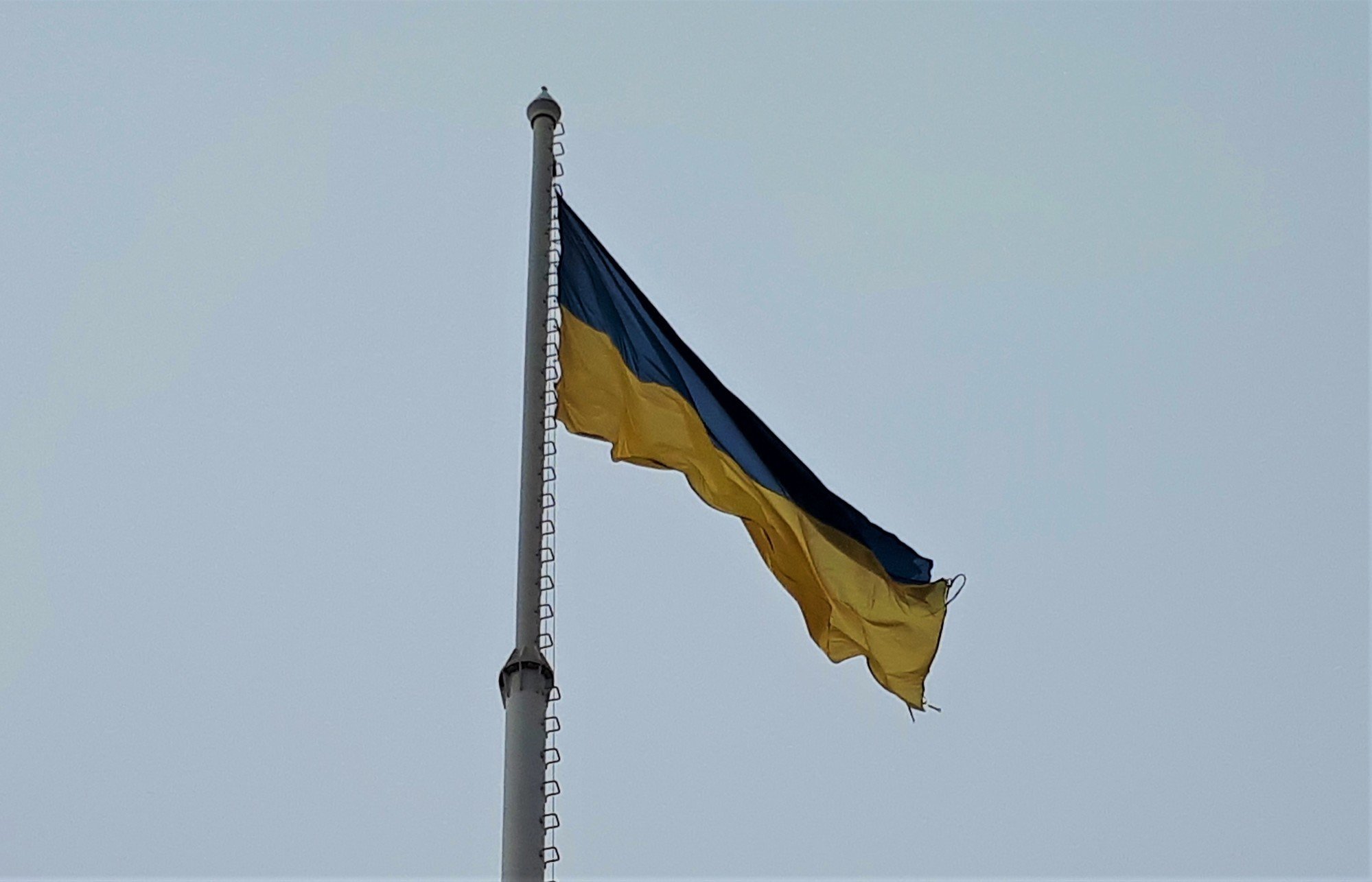 Українське МЗС відреагувало на протести у Вашингтоні