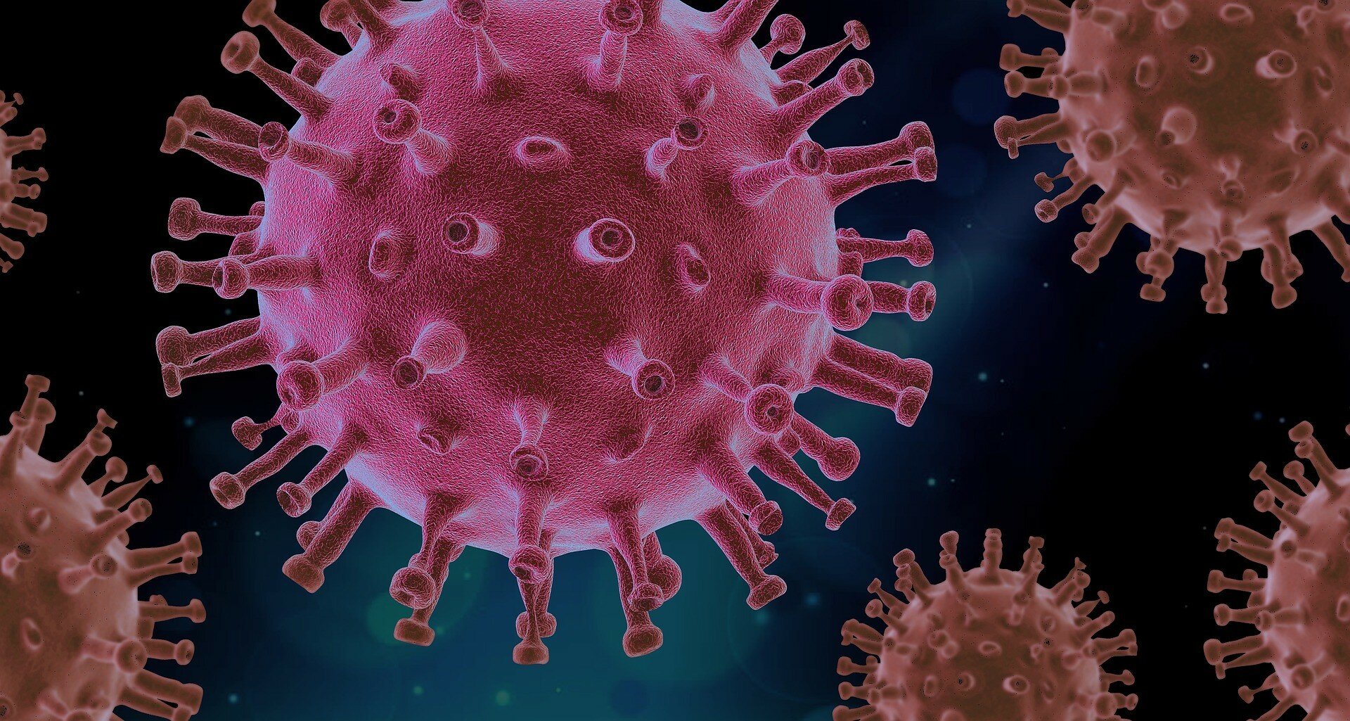 Во Франции обнаружили новый штамм коронавируса