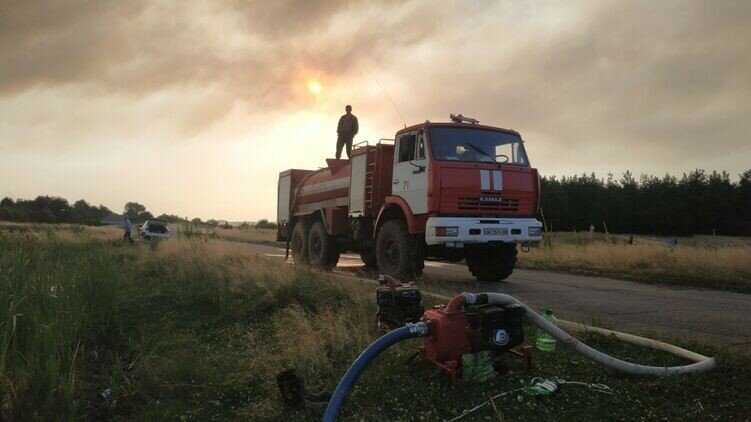 Почему на самом деле сгорели леса на Луганщине