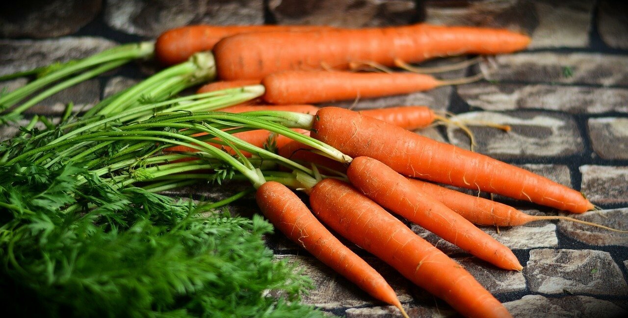 Что будет, если есть морковь ежедневно