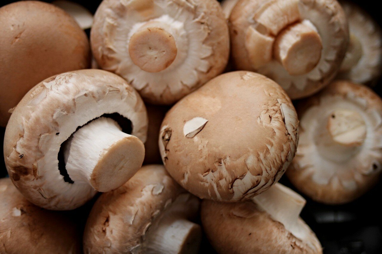 Добавление грибов в диету улучшит ее качество