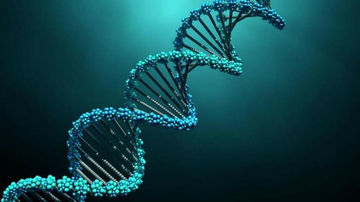 Виявлена ​​найдавніша в світі ДНК людини