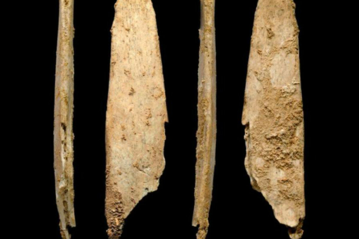 В Австралії виявили найстаріші кістяні знаряддя праці