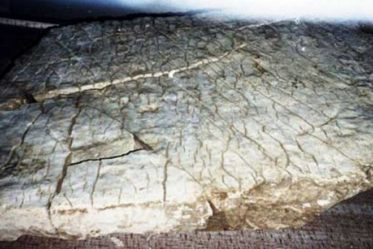 Найдена первая трехмерная карта Европы, которой 4000 лет