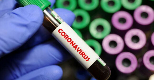 В Беларуси выявили собственный штамм коронавируса
