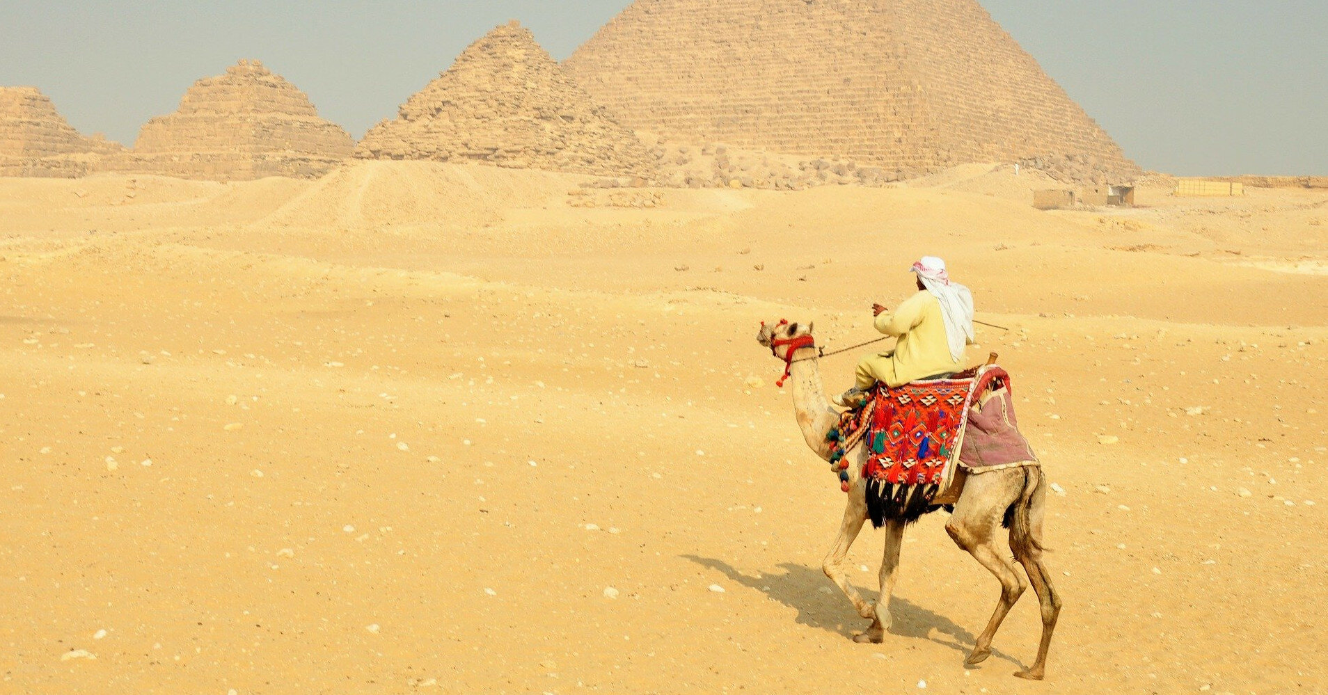 В Египте рассказали, введут ли COVID-паспорта для туристов
