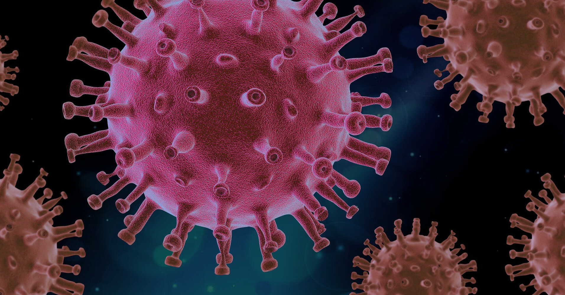 Исследователи обнаружили ряд новых штаммов коронавируса