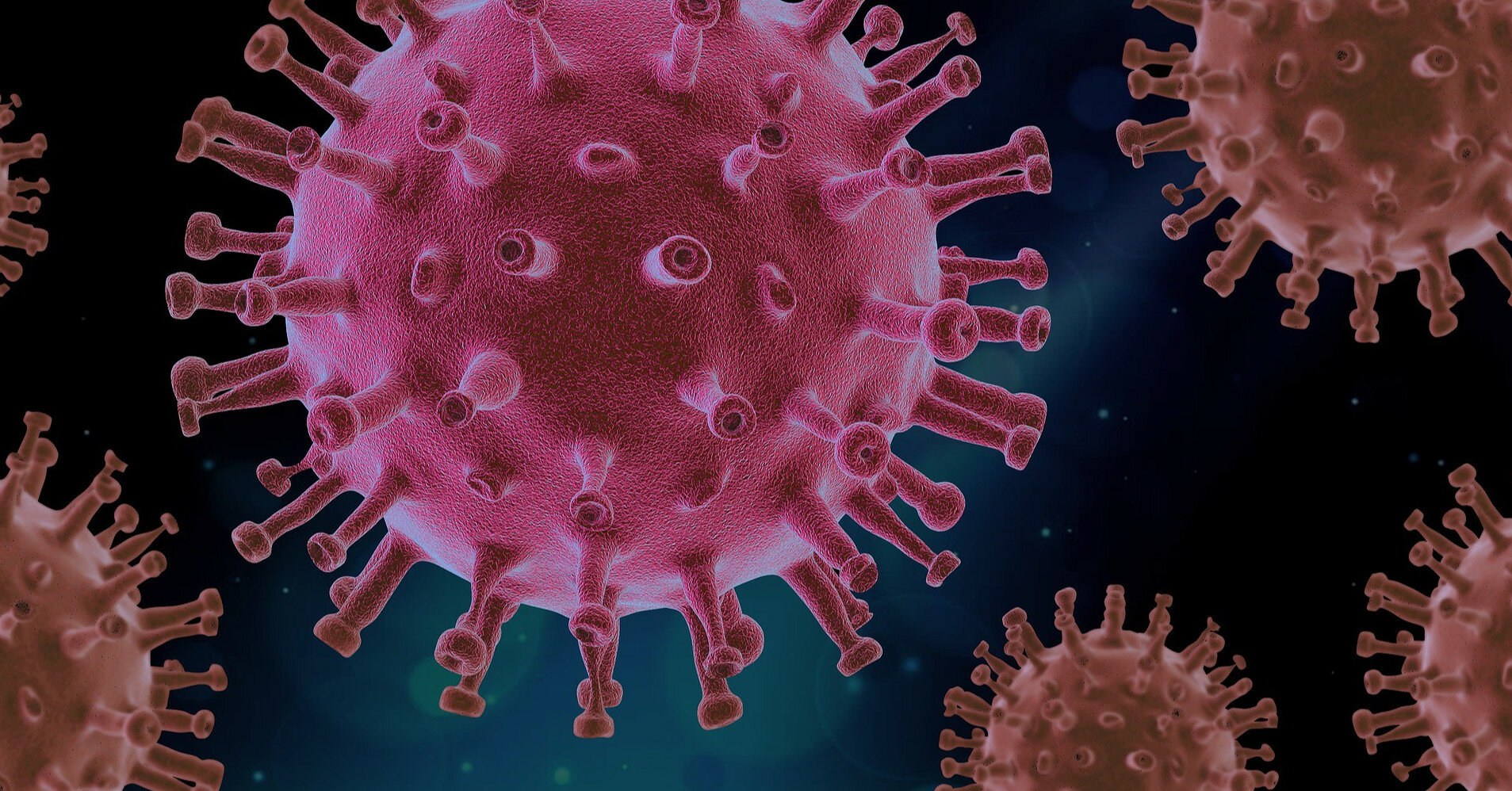 Епідемія коронавируса вразила людство понад 20 тисяч років тому