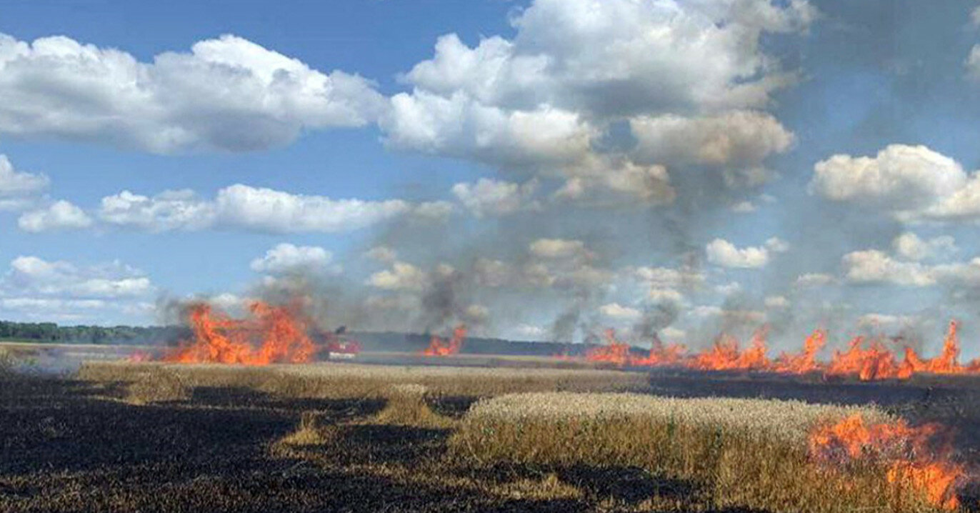 На Хмельниччині після падіння електролінії загорілося пшеничне поле