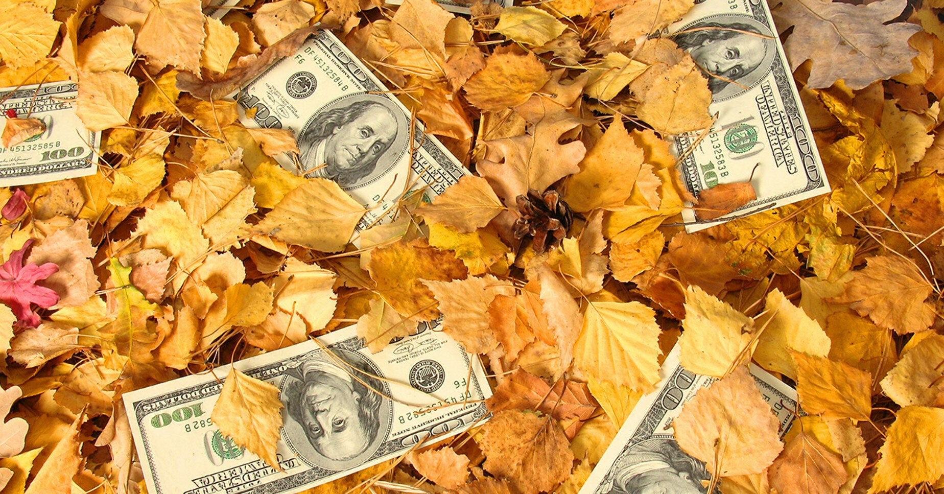 Курс валют: підсумки першого дня осені