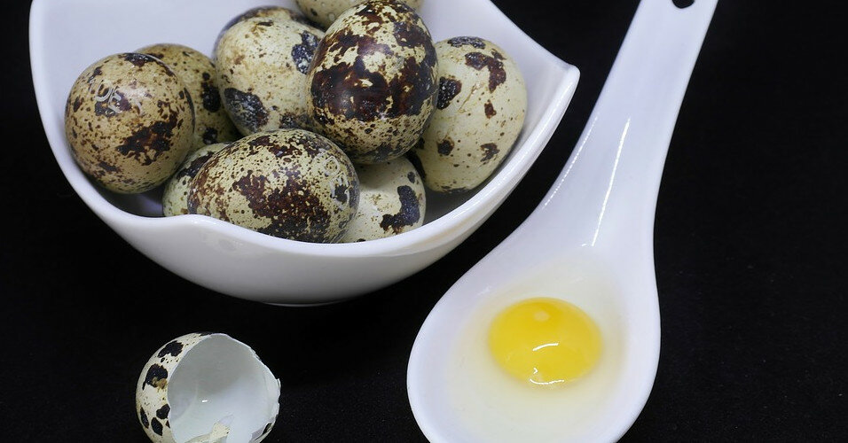 Перепелиные яйца: полезные свойства для здоровья