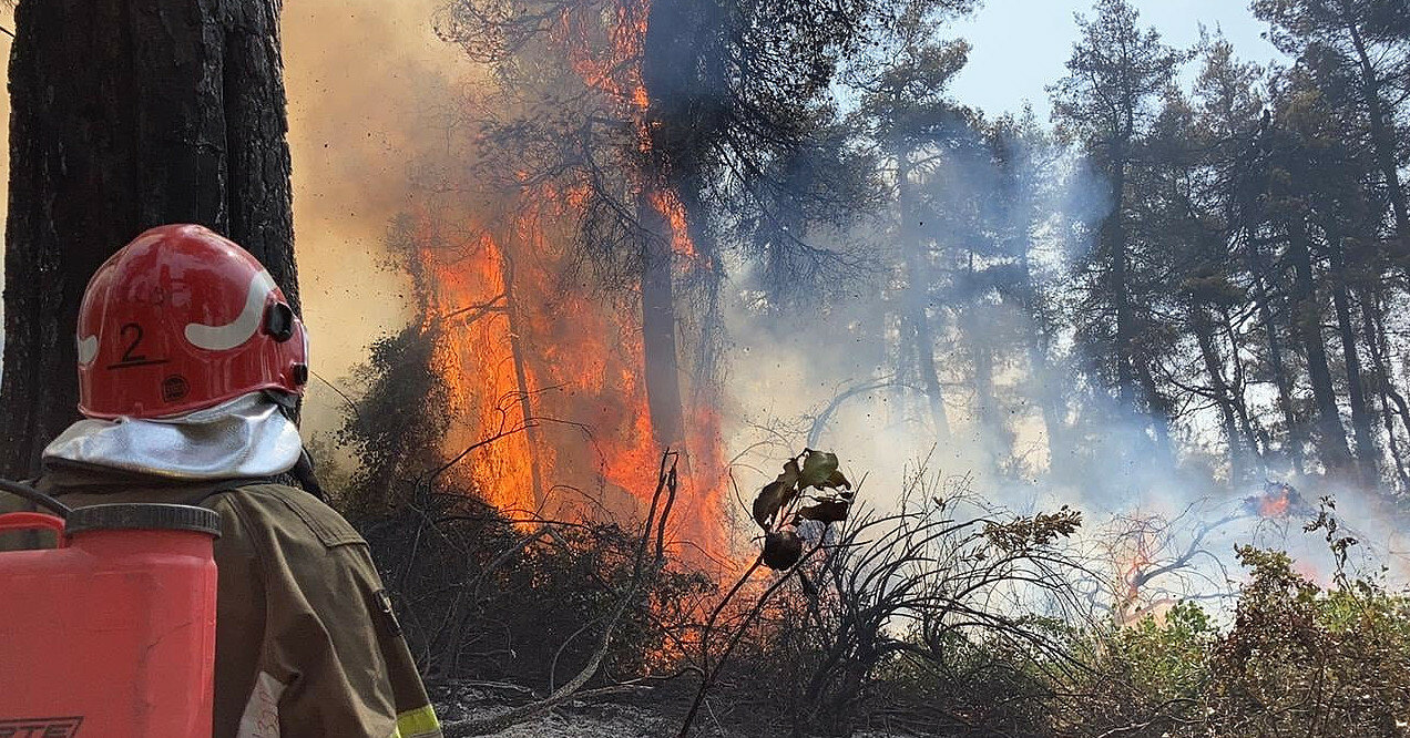 Кабмин выделил почти 34 млн на борьбу с лесными пожарами