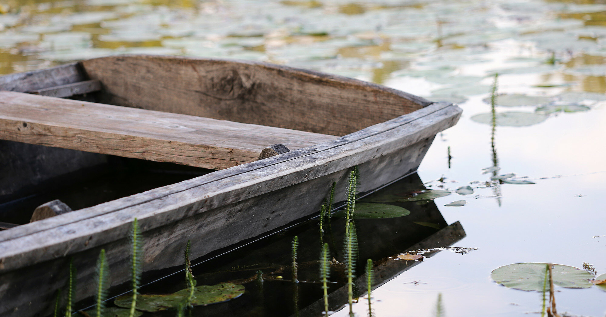 В Николаевской области найдена перевернутая лодка с погибшими мужчинами