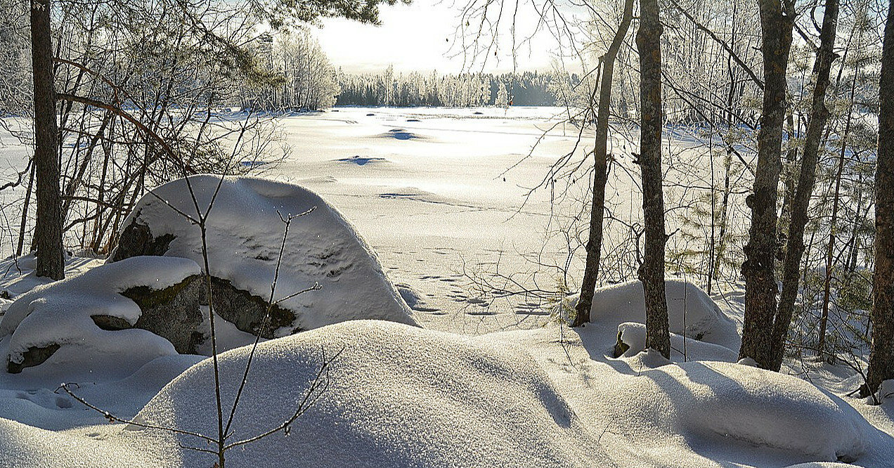 Солнечно, морозно и без осадков: прогноз погоды на 30 декабря